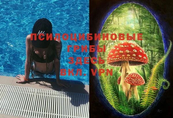 a pvp Богородицк