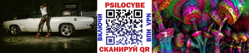 Псилоцибиновые грибы мицелий  где найти наркотики  мега маркетплейс  Белгород 